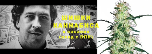 дживик Гусиноозёрск