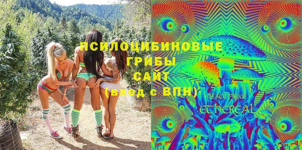 дмт Лабытнанги