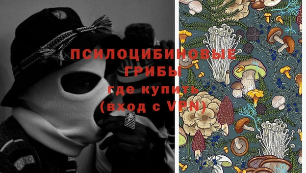 дживик Лагань