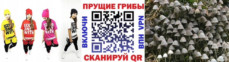 Галлюциногенные грибы прущие грибы  MEGA сайт  Емва 